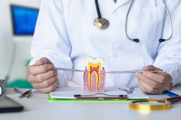 Best Emergency Root Canal Treatment in Marvin, NC